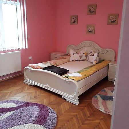Appartamento Casa Ade Călimăneşti Esterno foto