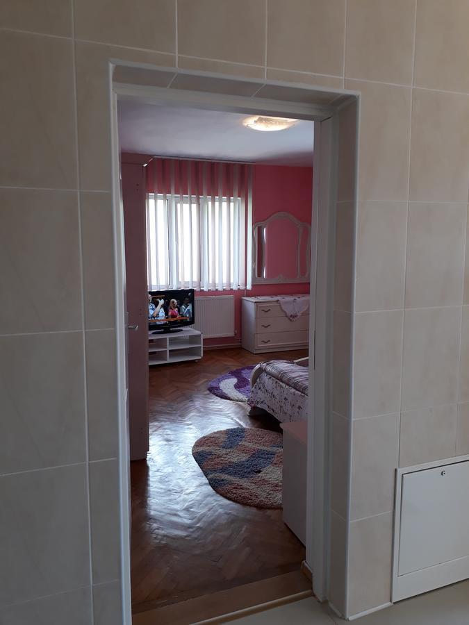 Appartamento Casa Ade Călimăneşti Esterno foto