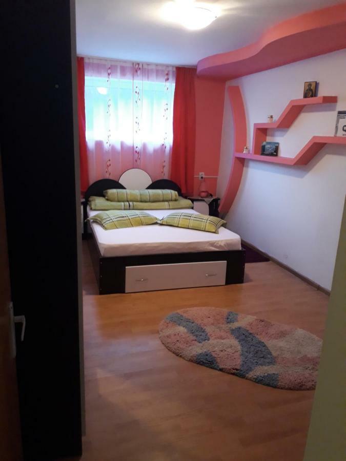 Appartamento Casa Ade Călimăneşti Esterno foto