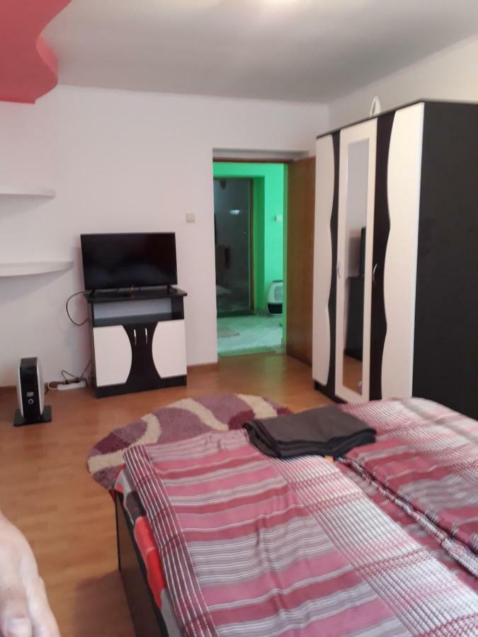 Appartamento Casa Ade Călimăneşti Esterno foto