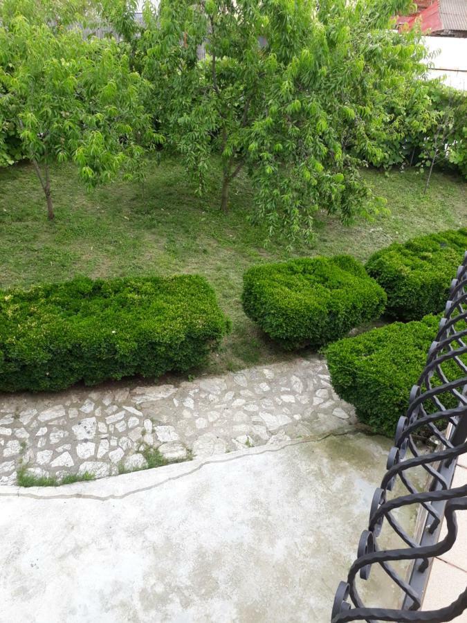 Appartamento Casa Ade Călimăneşti Esterno foto