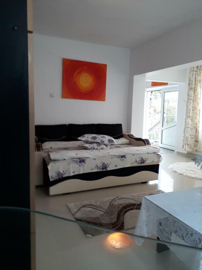 Appartamento Casa Ade Călimăneşti Esterno foto