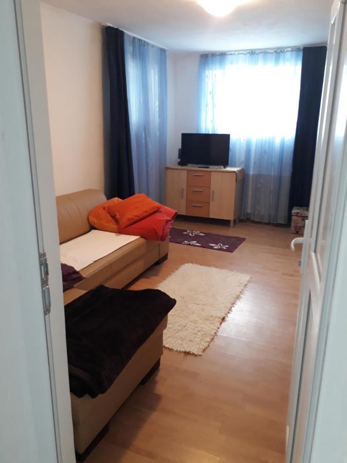Appartamento Casa Ade Călimăneşti Esterno foto